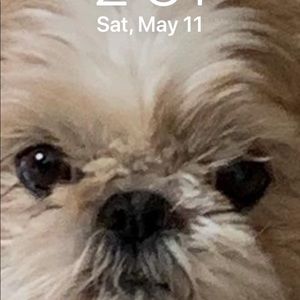 Meet your Posher, Carly